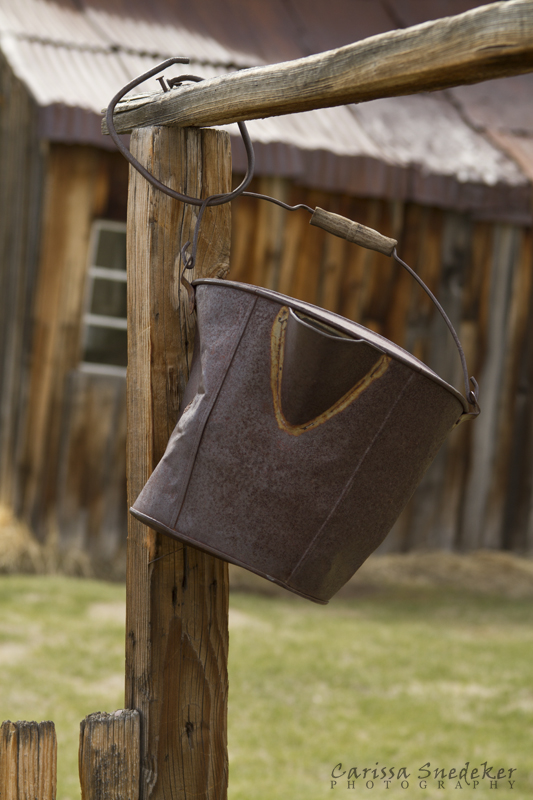 Bodie_2013_05_05_135