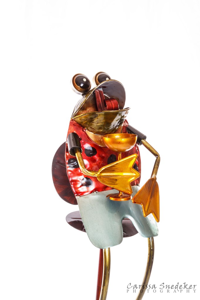 Frog-Sculpture_02-01-2014_01