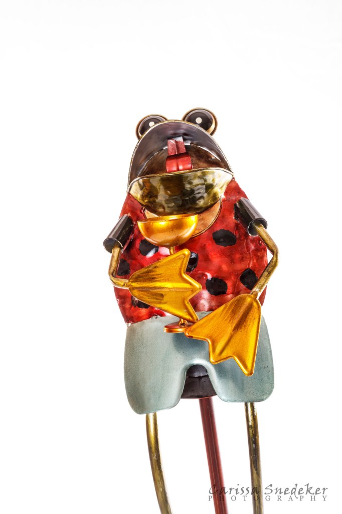 Frog-Sculpture_02-01-2014_02