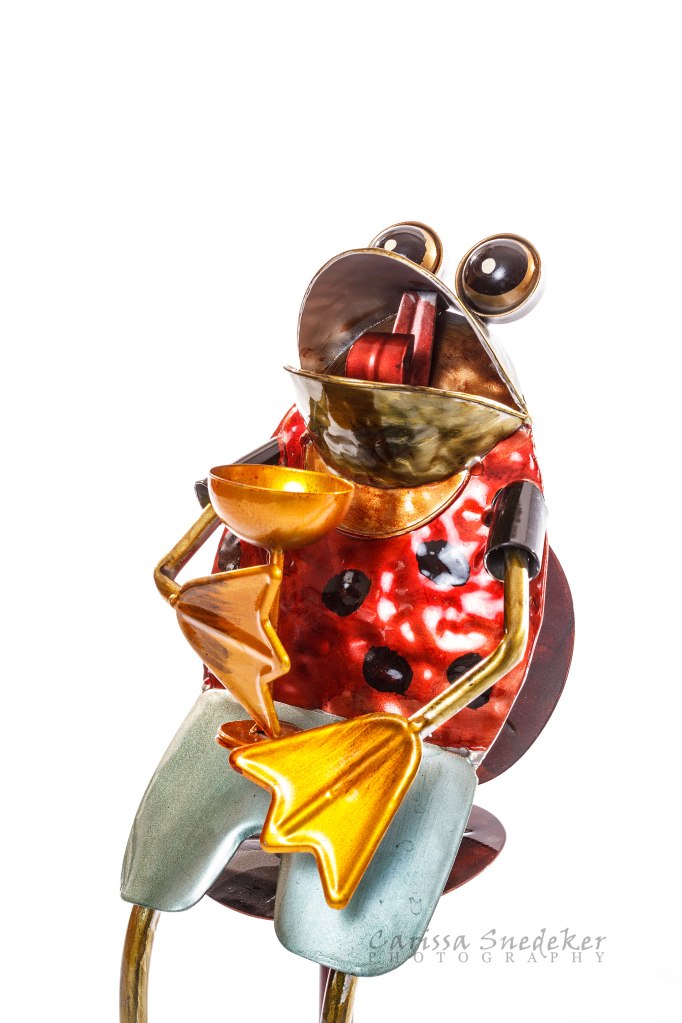 Frog-Sculpture_02-01-2014_03