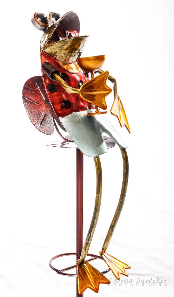 Frog-Sculpture_02-01-2014_04