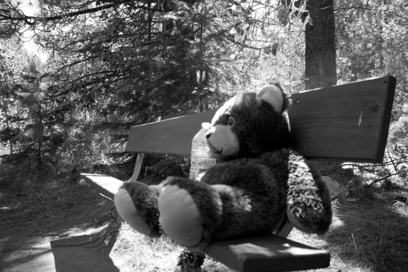 Snedeker_Project1__07