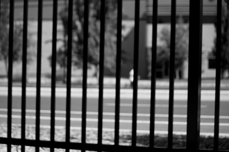 Snedeker_Project1__20