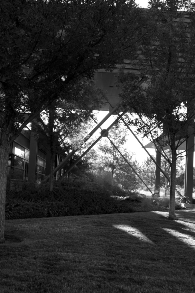 Snedeker_Project1__28