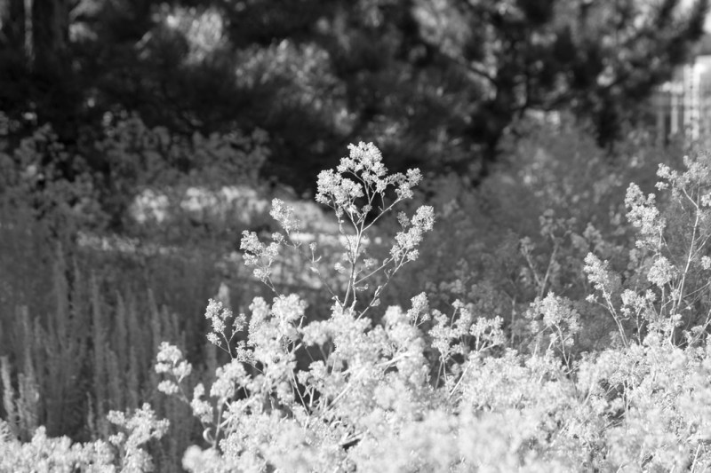 Snedeker_Project1__35