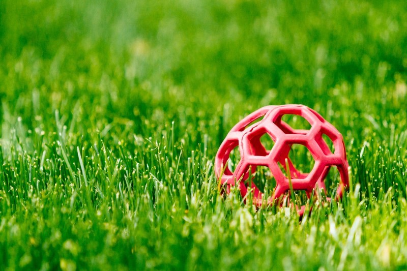 Fuji Provia 400X HC_-016