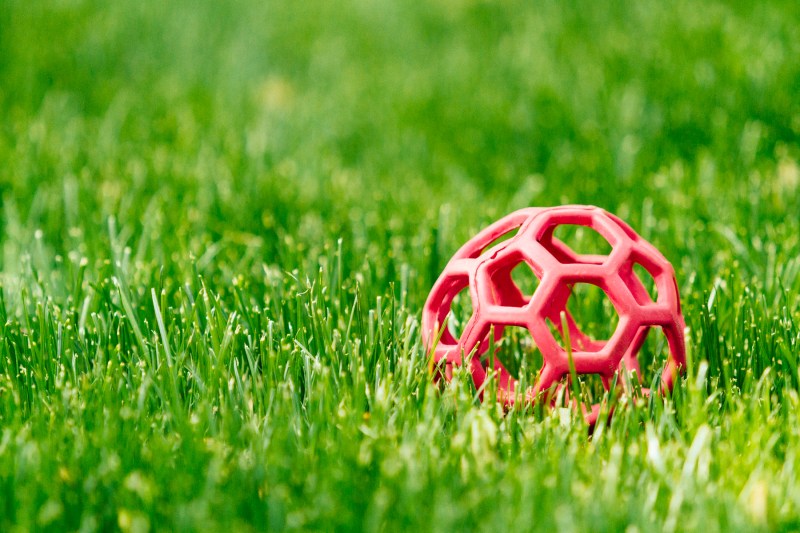 Fuji Provia 400X_-016