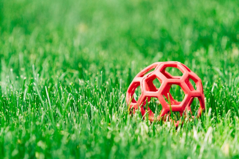 Kodak Extar 100_-016