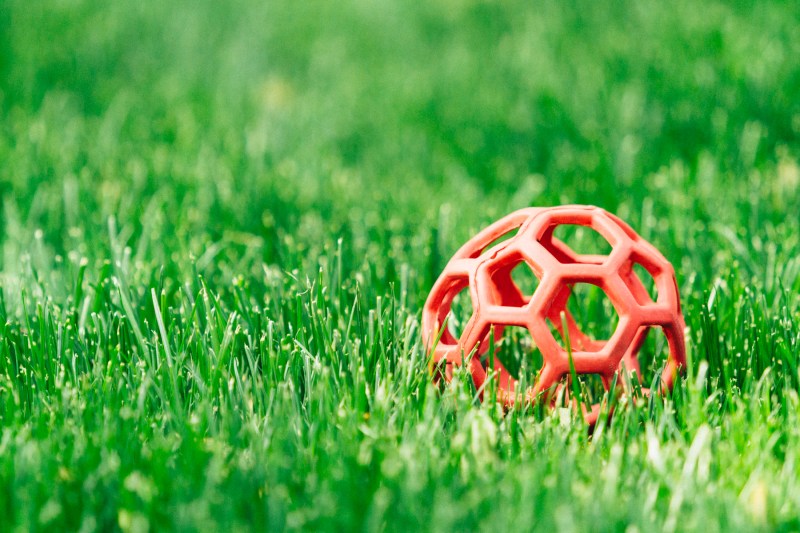 Kodak UltraMax 400-016