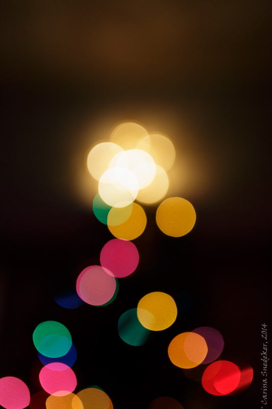 Tree Lights 12-14-2014-3