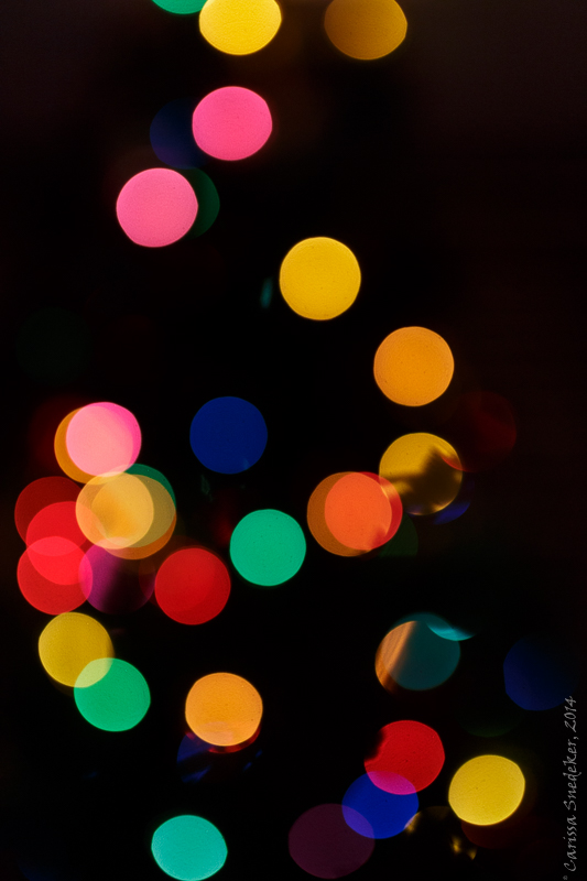 Tree Lights 12-14-2014-6
