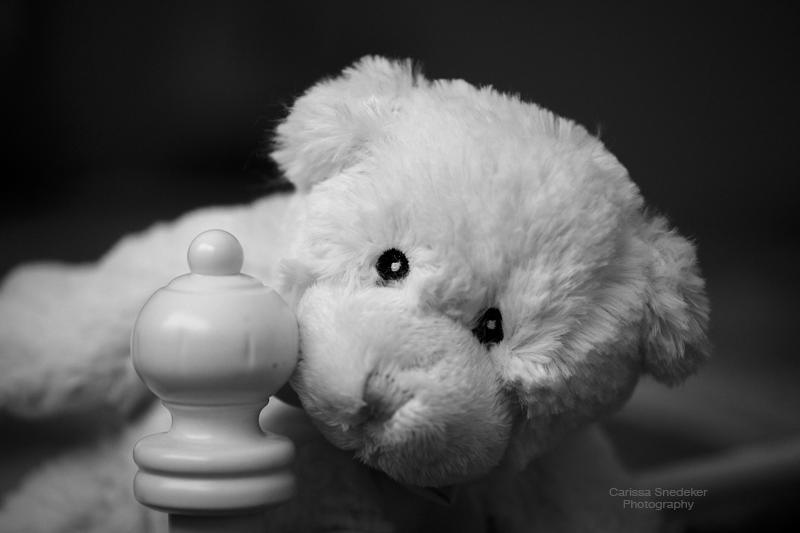 BW-Bear