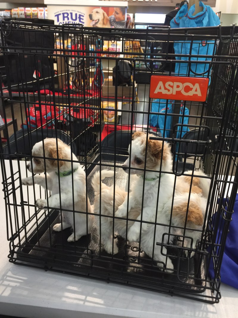 F2F11E45-391F-4A19-8813-A2D8968FCAAE