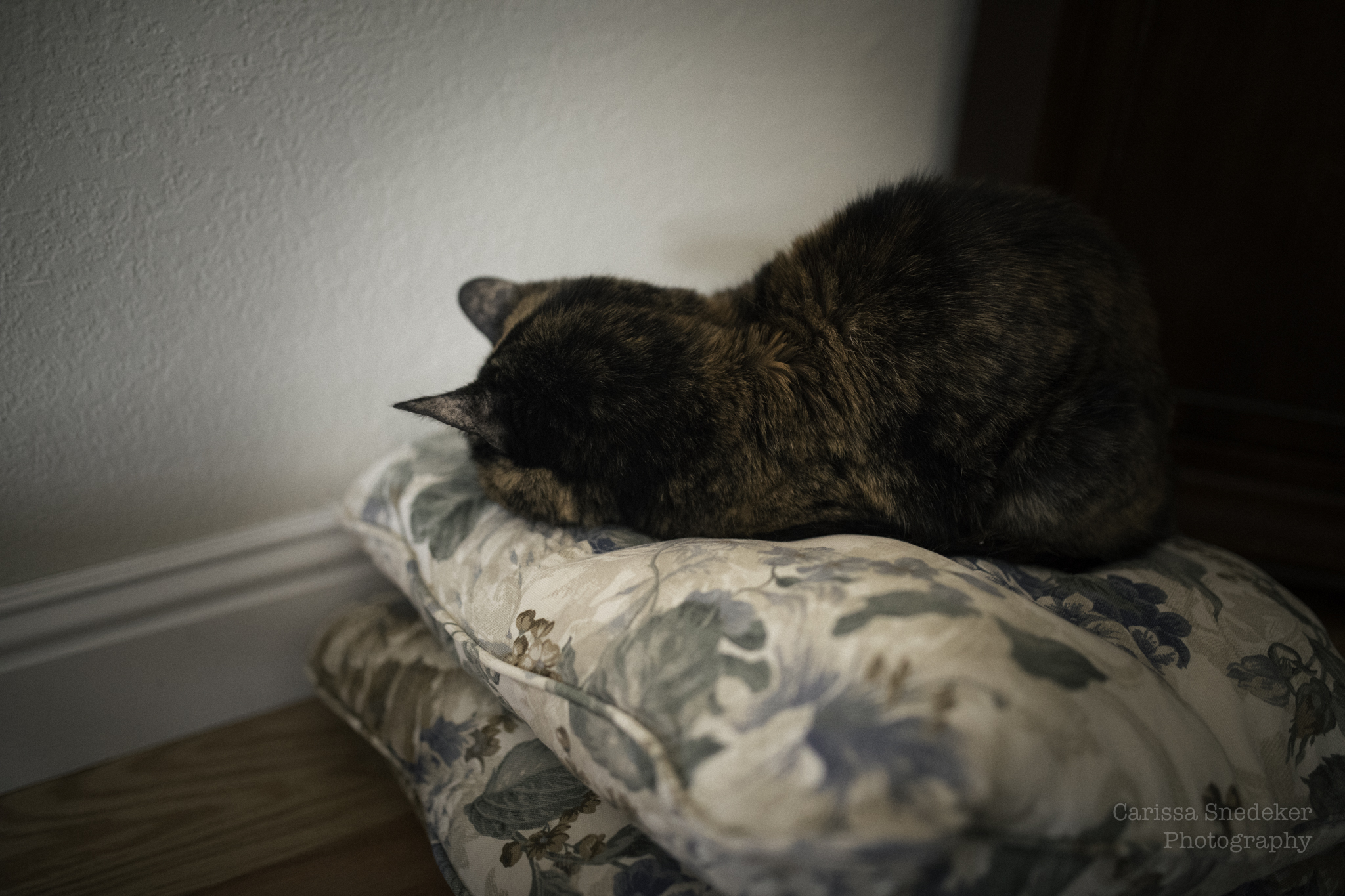 Jezebel 12-13-2020-1