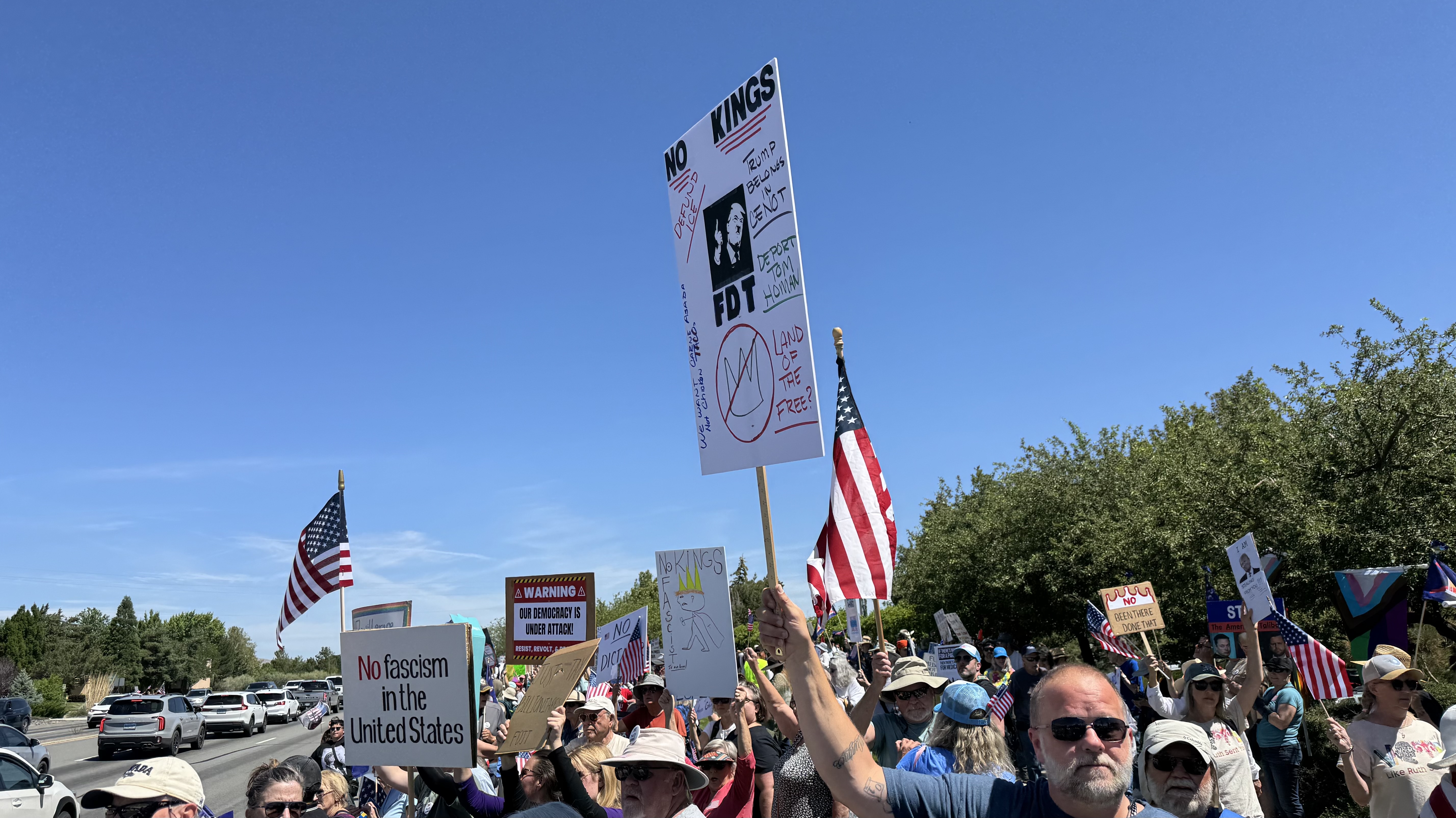 A crowd of people with signs and flags standing up for democracy.